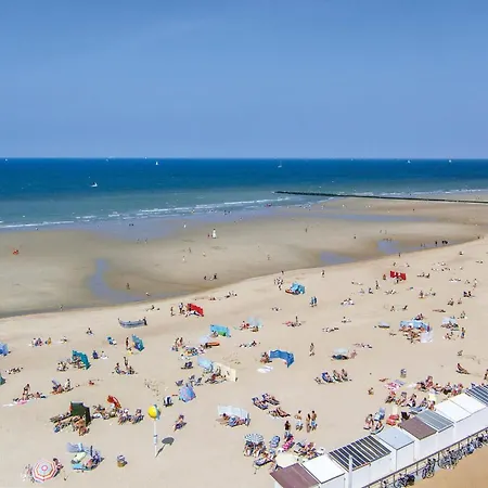 Pet Friendly In With Wifi *