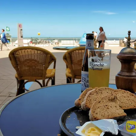 Appartement Pet Friendly In With Wifi Ostende