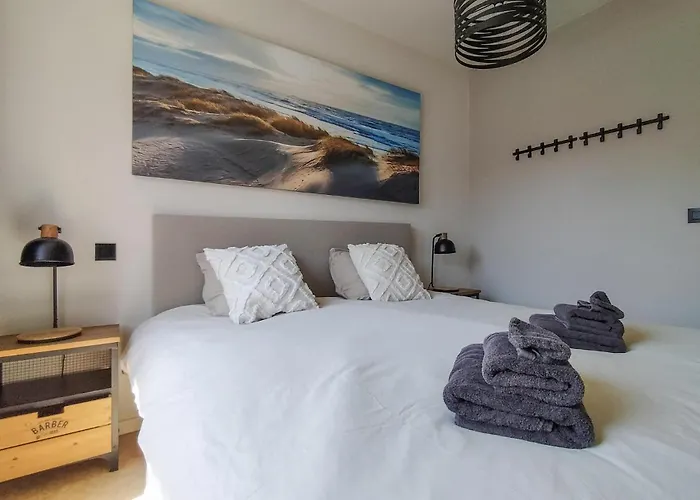 Appartement Pet Friendly In With Wifi Ostende