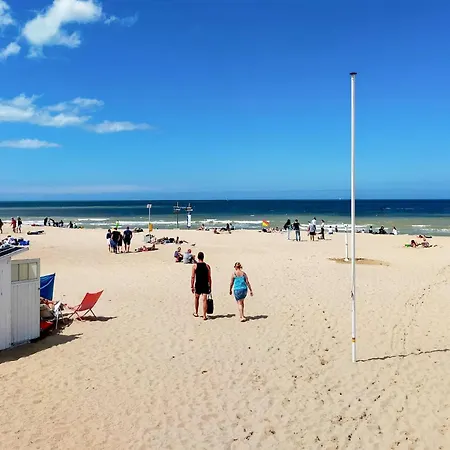 Apartament Pet Friendly In With Wifi