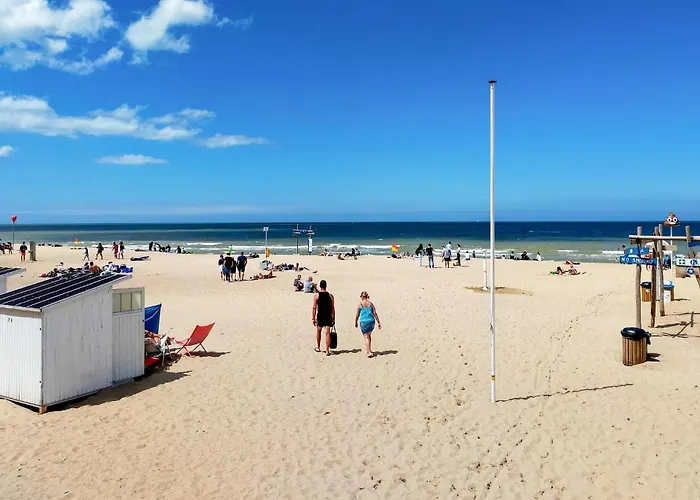 Apartament Pet Friendly In With Wifi