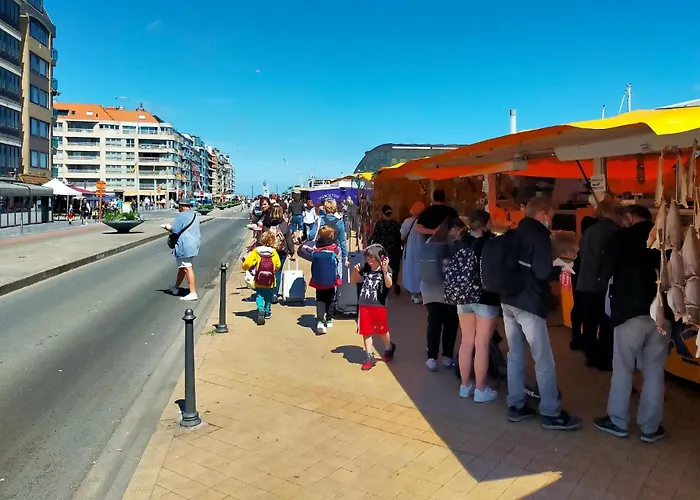 Pet Friendly In With Wifi Ostenda